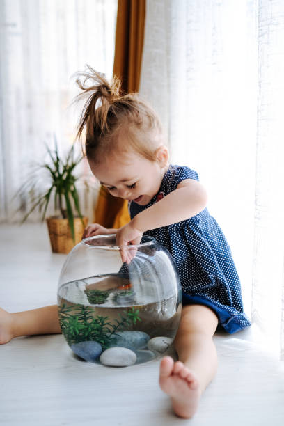 istock Cute child is feeding his goldfish 1186990362
