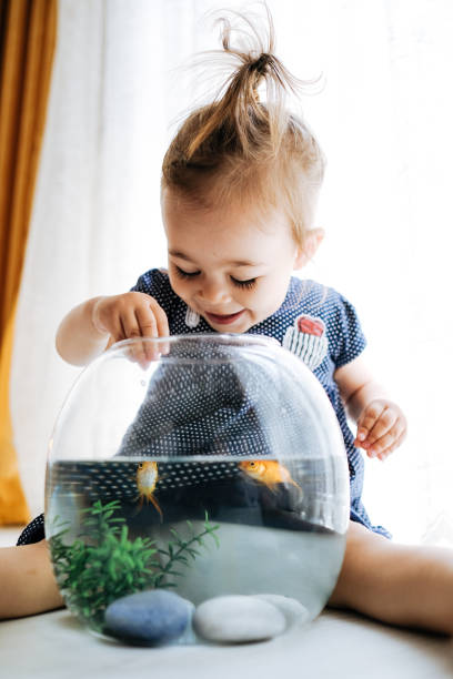 Cute child is feeding his goldfish