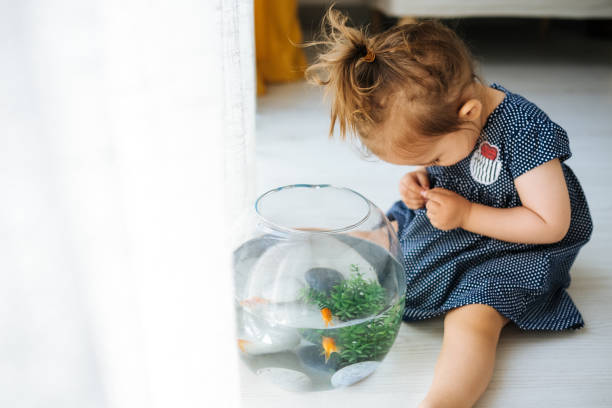 istock Cute child is feeding his goldfish 1186990835