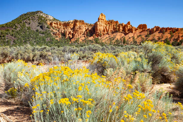 istock Desert Scene In Utah, USA 1186991879