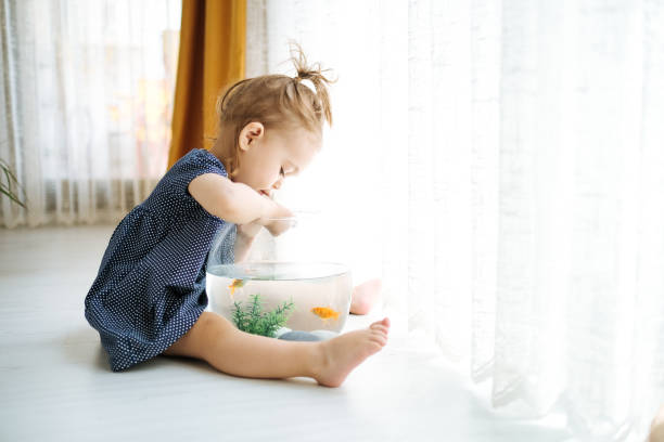 istock Cute child is feeding his goldfish 1186992445