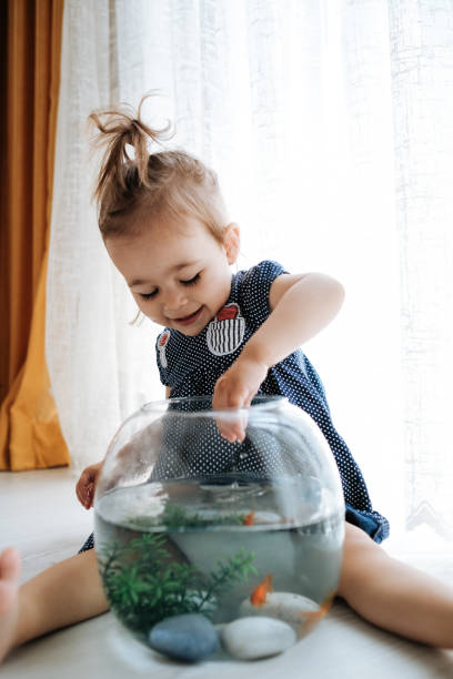 istock Cute child is feeding his goldfish 1186993528