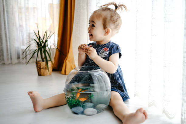 istock Cute child is feeding his goldfish 1186993784