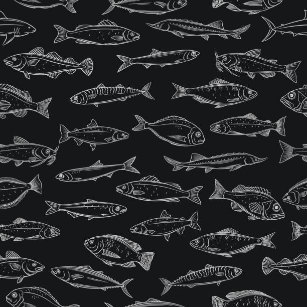 Fish seamless pattern Fish seamless pattern. Background with hand drawn seafood tilapia, ocean perch, sardine, anchovy, sea bass, dorado and etc. Chalkboard style ocean perch stock illustrations