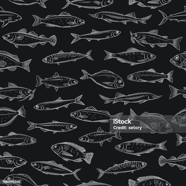Mackerel Pattern Design Fish Seamless Pattern Stock Illustration - Download Image Now - Pattern ...