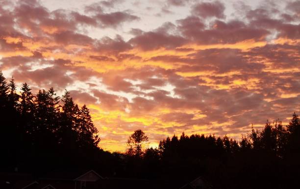istock Autumn Sunset With Fiery Like Clouds 1186998036