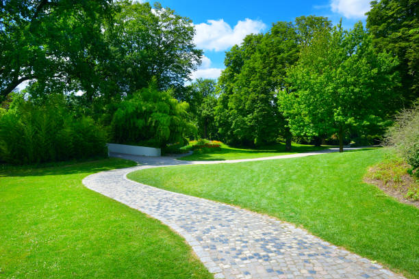 istock Beautiful meadow with footpath 1186999116