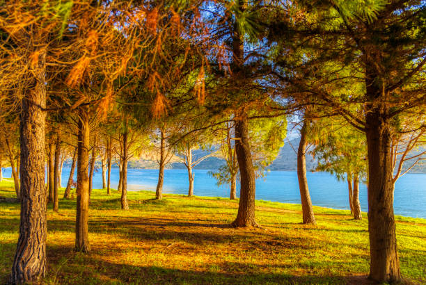 istock panoramic view of the mountain lake (HDRi) 1187000443