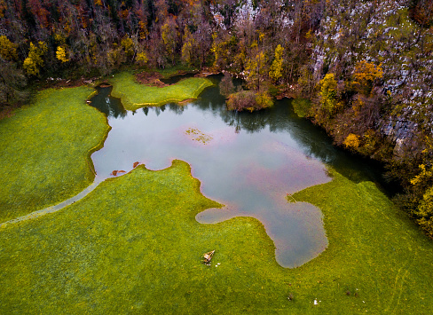 Aerial view of autumn field stock photo