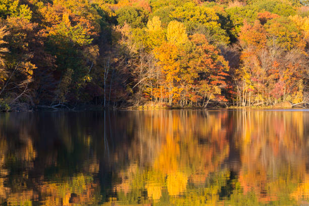istock Mont-Saint-Bruno National Park in autumn 1187003349