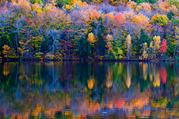 istock Mont-Saint-Bruno National Park in autumn 1187003429