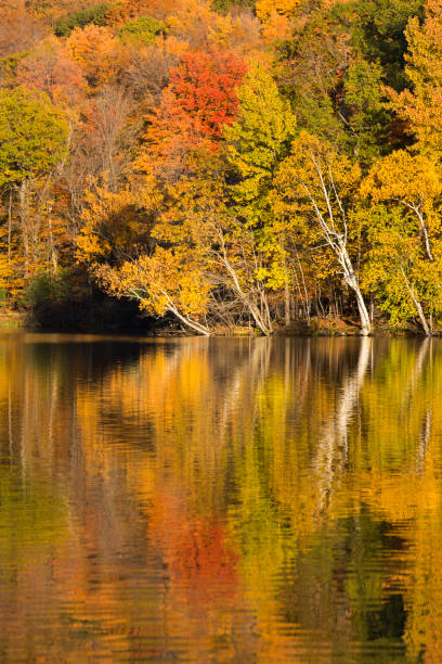 istock Mont-Saint-Bruno National Park in autumn 1187003431