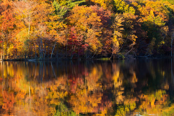 istock Mont-Saint-Bruno National Park in autumn 1187003687