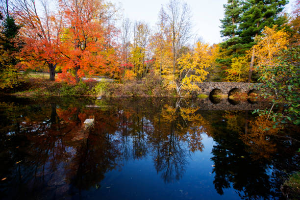 istock Mont-Saint-Bruno National Park in autumn 1187003748