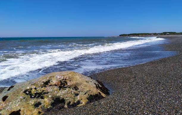 istock Waves on the black sand coast 1187004961