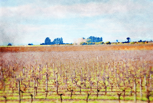 This is my Photographic Image of a Vineyard in Autumn in a Watercolour Effect. Because sometimes you might want a more illustrative image for an organic look.