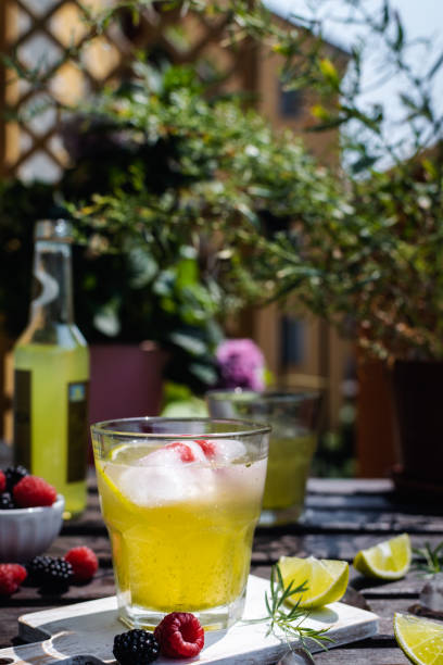 istock Cold refreshing tarragon, blackberry and raspberry lemonade with ice on wooden rustic table i 1187005587
