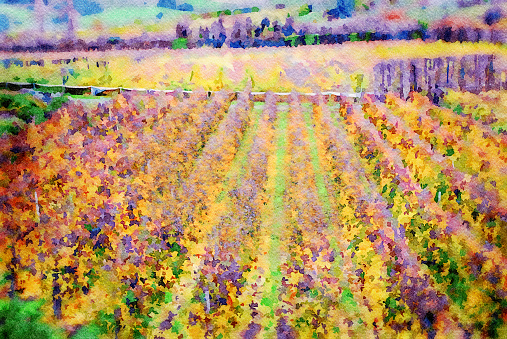 This is my Photographic Image of a Vineyard in Autumn in a Watercolour Effect. Because sometimes you might want a more illustrative image for an organic look.