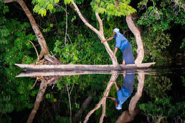 女性はコンゴ川のピローグでパドリングしている - congo river ストックフォトと画像