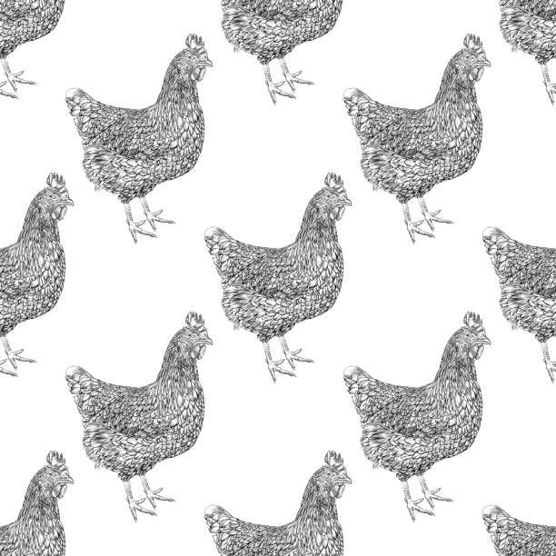 hühner nahtlose muster vektor illustration in aquarell und tinte - rhode island red huhn stock-grafiken, -clipart, -cartoons und -symbole