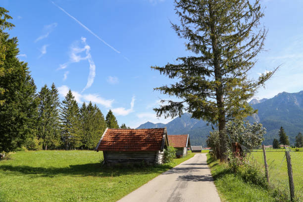 istock Mountain huts on green meadows in the Alps 1187012250