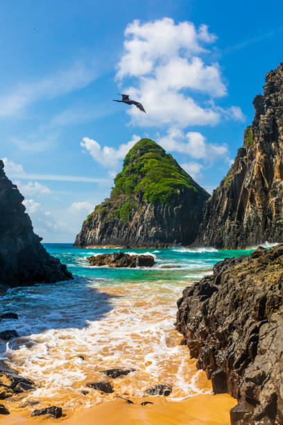 Beautiful view of Morro Dois Irmãos in Fernando de Noronha, Brazil This picture shows a unique view of Morro Dois Irmãos with waves crashing at the volcanic rocks and a bird flying giving a sensation of freedom. two brothers mountain stock pictures, royalty-free photos & images