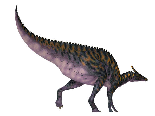 istock Saurolophus osborni Dinosaur Tail 1187014459