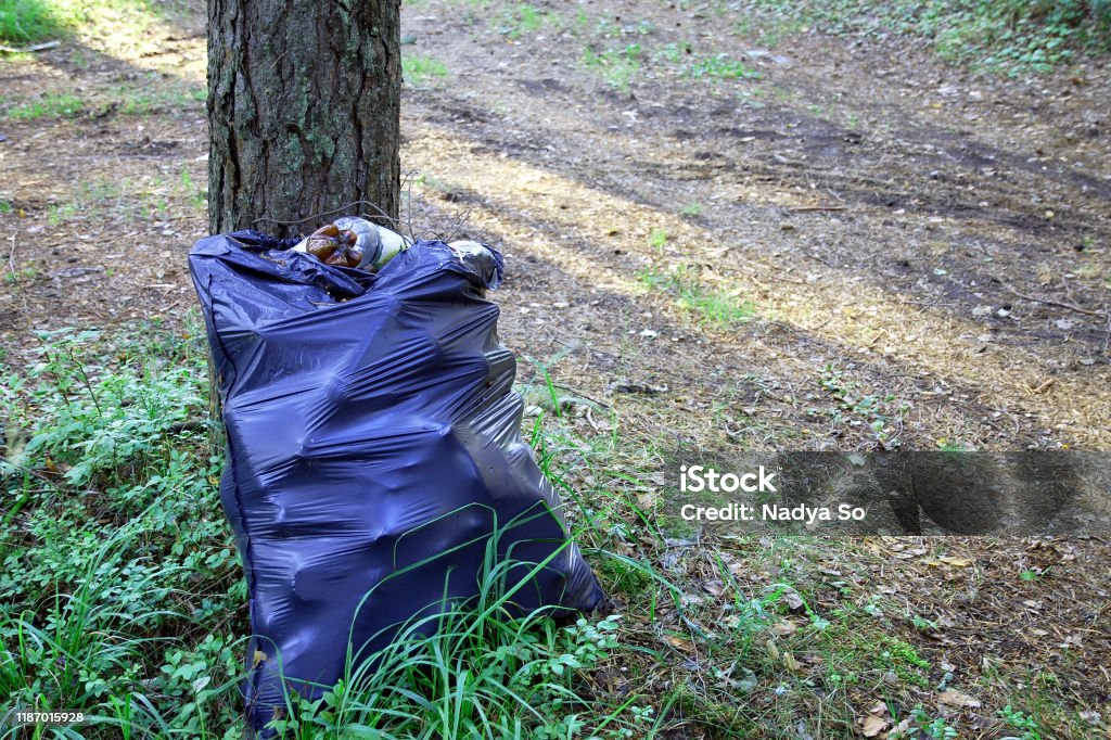 Large Garbage Bag Filled To With Plastic Waste Leaning Against Tree Trunk  In The Forest Environmentalists Activities Stock Photo - Download Image Now  - iStock