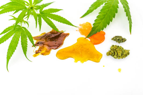 Various Cannabis CBD and THC Shatter rosin extracts with Hemp flowers and leaves Various Cannabis CBD and THC Shatter rosin extracts with Hemp flowers and leaves, isolated on white rosin stock pictures, royalty-free photos & images