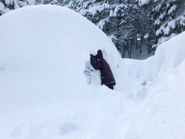 istock Snow blowing and clearing deep powder after a huge California storm. 1187019726