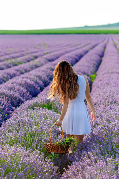 istock Ladies in Lavender 1187020073