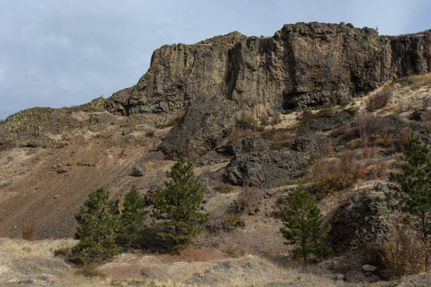 istock Steep cliff face with crumbling rocks and green trees 1187020086