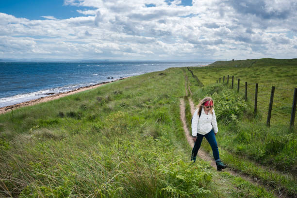 Front view of a female hiker walking along the North Sea coast winding through wild grasses and wildflowers on the Fife Coastal Path north of Elie heading toward Newark Castle ruins, Kingdom of Fife, Scotland, UK, Europe