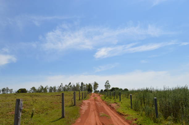 istock Driving on dirt roads 1187022141