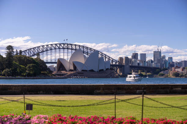 sydney opera house e harbor ponte com jacaranda árvore e edifícios ao fundo, sydney opera house e harbor bridge são o famoso marco da austrália. austrália: 11-11-2019 - sydney australia sydney opera house australia sydney harbor - fotografias e filmes do acervo