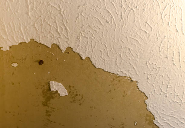 Ceiling damage in need of repair.  Home repair needed for damaged peeling plaster. stock photo