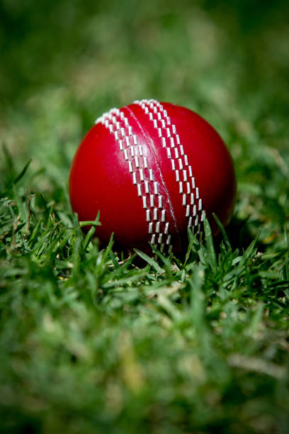 Cricket Ball Bowling and catching a cricket ball. test cricket stock pictures, royalty-free photos & images