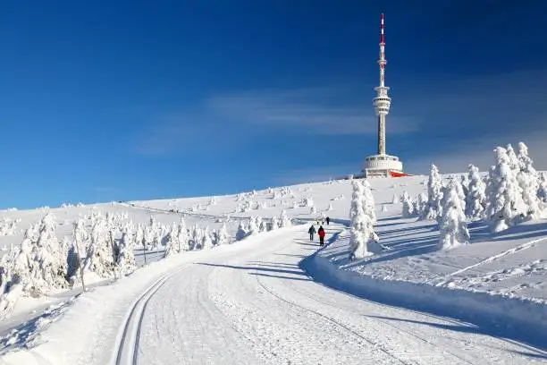 ski trail or crosscountry skiing way on jesenik mountains and television transmitter mount praded - czech republic