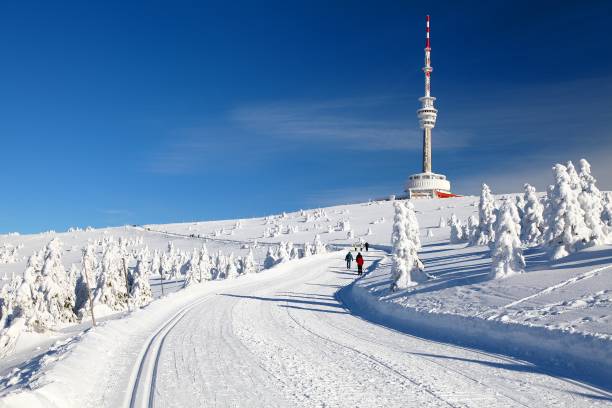 ski trail jesenik mountains mount praded - czech republic ski winter skiing imagens e fotografias de stock