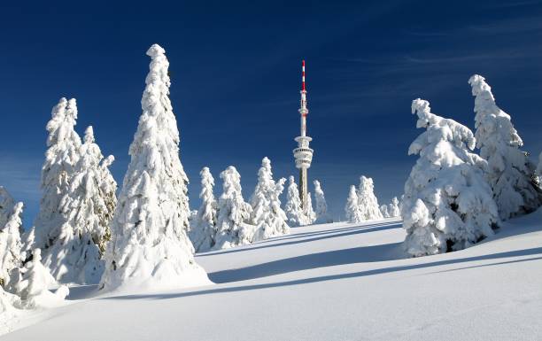 istock television transmitter praded and snowcapped trees 1187032582