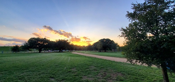 Park sunset