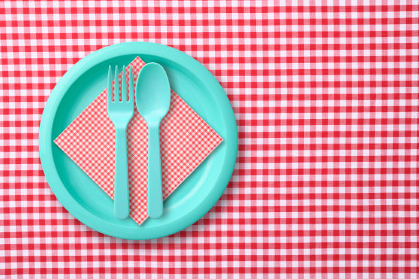 istock Blue plastic plate with folk and spoon on red gingham check tablecloth 1187037760