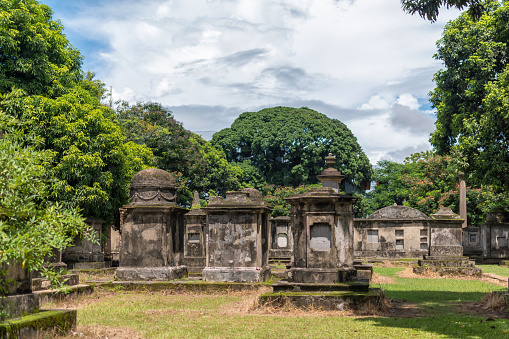 Old trees and ancient gravestones tombs of South Park Street Cemetery in Kolkata, India. The largest Christian cemetery in Asia