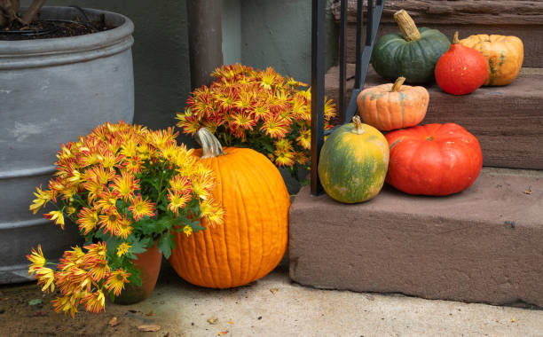 istock Pumpkins Flowers Decorate Steps 1187039806