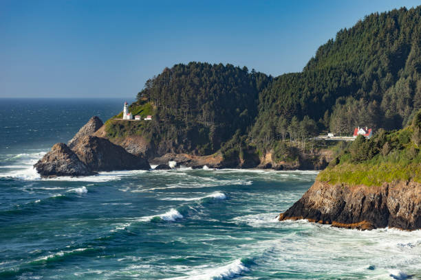 heceta head light an der küste oregons - lane stock-fotos und bilder