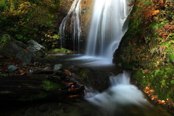 istock Autumn leaves waterfall in Iwate Prefecture 1187040718