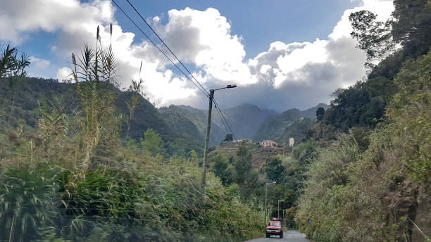 istock Levada dos Cedro Madeira, Portugal Europe 1187041772