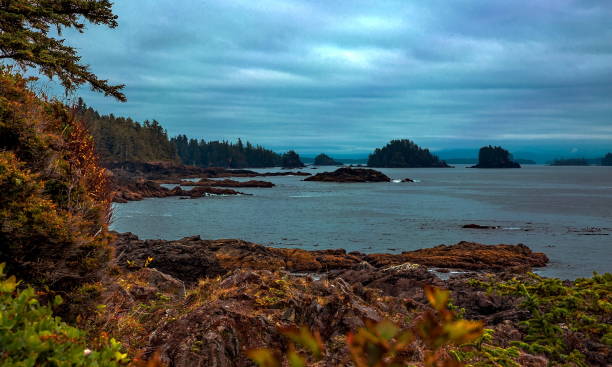 istock Western Pacific Coast Vancouver Island BC Canada 1187044747
