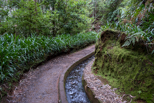 Levada Do Rei PR18, from Sao Jorge ending at the source in Ribeiro Bonito, Madeira, Portugal