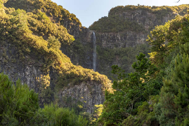istock Waterfall Levada Do Risco, PR6, from Rabacal Madeira, Portugal, Europe 1187058114